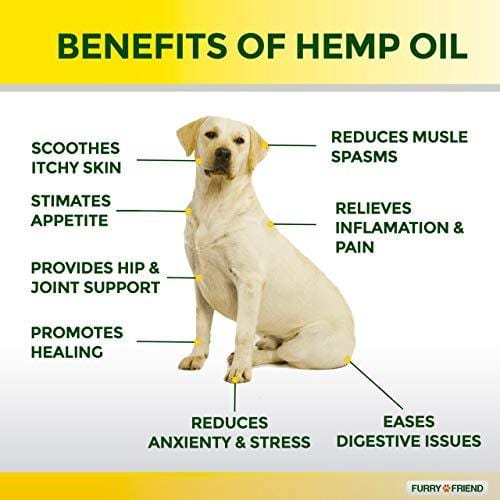 Hemp Oil for Dogs & Cats - 1000 mg - Anxiety Relief for Dogs & Cats - 100% Organic Pet Hemp Oil - Supports Hip & Joint Health - Grown & Made in USA - Natural Relief for Pain