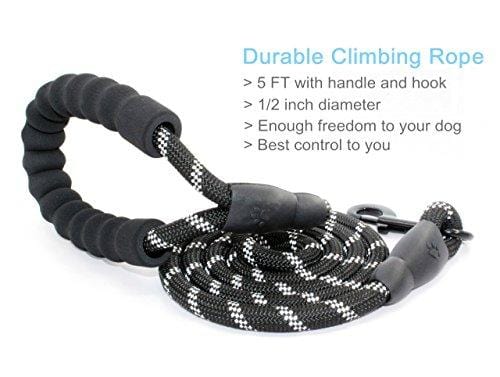 BAAPET 5 FT Strong Dog Leash with Comfortable Padded Handle and Highly Reflective Threads for Medium and Large Dogs (Black)