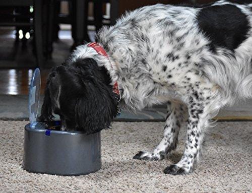 Our Pets Smart Link Intelligent Pet Care Selective Feeder Automatic Pet Bowl