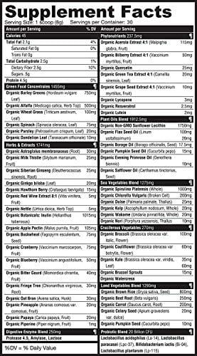 Generation Greens Powder | Best Organic Superfood Green Powder | 60 Powerful Super foods ( Spirulina, Chlorella, Wheat Grass), Probiotics, Enzymes |GMO FREE