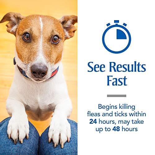 PetArmor Plus for Dogs, Flea and Tick Prevention for Extra Large Dogs (89-132 Pounds), Includes 3 Month Supply of Topical Flea Treatments
