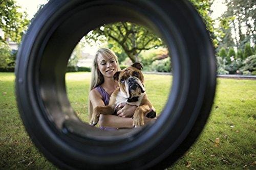 PetSafe Stubborn Dog Receiver Collar, In-Ground Fence Collar, Waterproof, with Tone, Vibration and Static Correction for dogs 8lb and Up