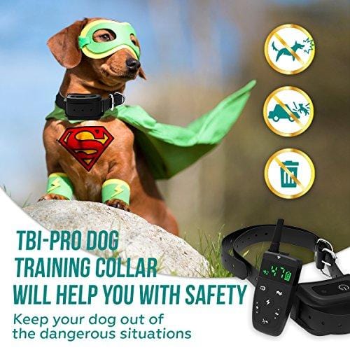 All-New 2019 Dog Training Collar with Remote | Long Range 1600', Shock, Vibration Control, Rechargeable & Ipx7 Waterproof | E-Collar Shock Collar for Dogs Small, Medium, Large Size, All Breeds