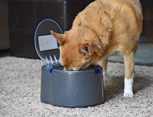 Our Pets Smart Link Intelligent Pet Care Selective Feeder Automatic Pet Bowl