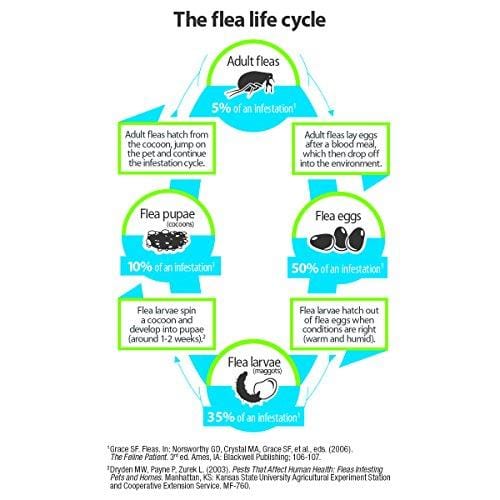 Advantage Shampoo Flea and Tick Treatment for Cats and Kittens 8 oz