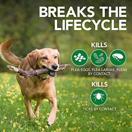 Vet's Best Flea and Tick Advanced Strength Dog Shampoo, 12 oz