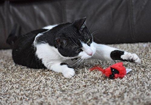 OurPets Play-N-Squeak Real Birds Fly Over Interactive Cat Toy