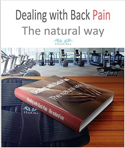 Lumbar Support Belt - Lower Back Brace - Heat & Ice Pack Included For Instant Pain Relief - Adjustable Compression To Suit Your Body - Wear It Everywhere - Gym Office Home - FDA Approved