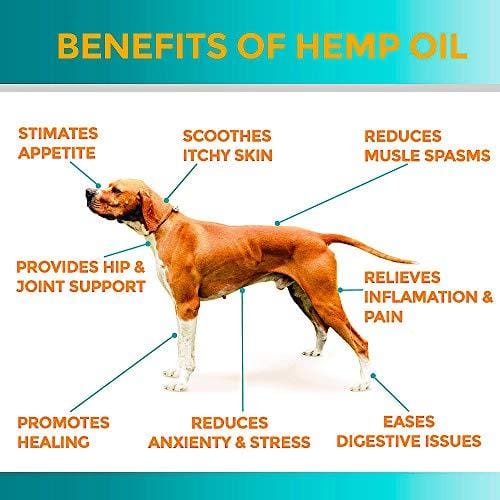 Organic Hemp Oil for Dogs & Cats - 2000mg - Premium Hemp Extract - Anxiety Relief for Dogs - Grown & Made in USA - Omega 3, 6 & 9 - Supports Hip & Joint Health - Natural Relief for Pain