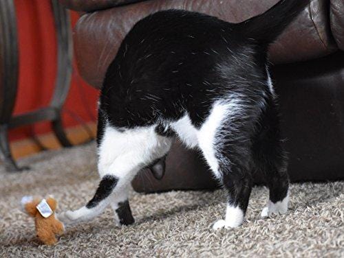 OurPets Play-N-Squeak Backyard Collection Squeaking Interactive Catnip Cat Toy