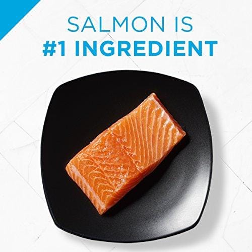 Purina Pro Plan Sensitive Stomach Dry Dog Food; FOCUS Sensitive Skin & Stomach Salmon & Rice Formula - 30 lb. Bag