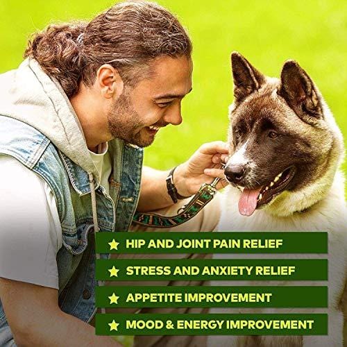 Pawesome Hemp Oil for Dogs Cats - 1500 MG Made in USA Hemp Extract - Organic Pet Hemp Oil - Natural Arthritis Pain Relief, Support Hip & Joint Health, Separation Anxiety, Omega-3, 6