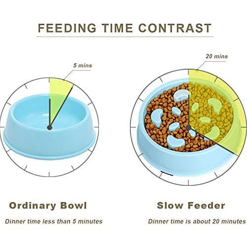 UPSKY Slow Feeder Dog Bowl Fun Feeder No Chocking Slow Feeder Bloat Stop Dog Cat Food Water Bowl with Funny Pattern, Blue