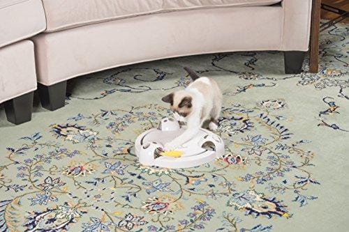 PetSafe Pounce Cat Toy, Interactive Automatic Toy for Cat or Kitten, Adjustable Electronic Battery Operated Toy
