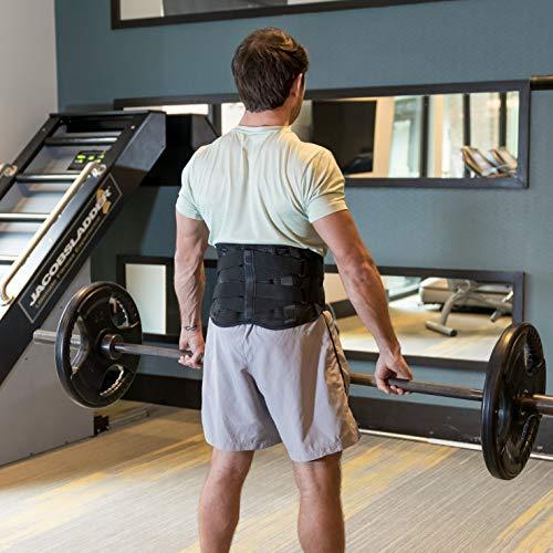 Lower Back Brace by FlexGuard Support - Lumbar Support Waist Backbrace for Back Pain Relief - Compression Belt for Men and Women - Back Braces for Sciatica, Scoliosis and Herniated Disc (Med/Large)