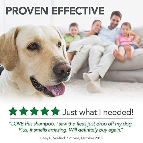 Vet's Best Flea and Tick Advanced Strength Dog Shampoo, 12 oz