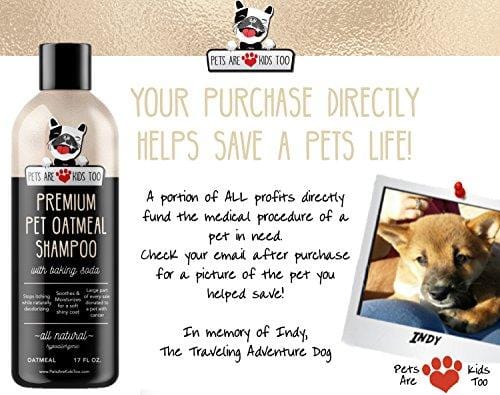 Pet Oatmeal Anti-Itch Shampoo & Conditioner In One! Smelly Puppy Dog & Cat Wash, ALL NATURAL & Hypoallergenic! Provides Relief For Allergies, Itchy, Dry, Irritated Skin!! Smells Amazing! (1 btl)