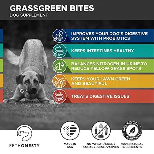 PetHonesty GrassGreen Grass Burn Spot Chews for Dogs - Dog Pee Lawn Spot Saver Treatment Caused by Dog Urine - Cranberry, Apple Cider Vinegar, DL-Methionine Grass Treatment Rocks - 90 Chew Treats