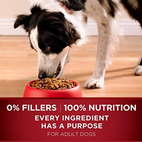 Purina ONE High Protein Natural Dry Dog Food; SmartBlend True Instinct With Real Turkey & Venison - 27.5 lb. Bag
