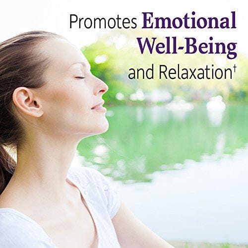 Garden of Life - Dr. Formulated Probiotics Mood+ - Acidophilus Probiotic Promotes Emotional Health, Relaxation, Digestive Balance - Gluten, Dairy, and Soy-Free - 60 Vegetarian Capsules