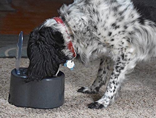 Our Pets Smart Link Intelligent Pet Care Selective Feeder Automatic Pet Bowl