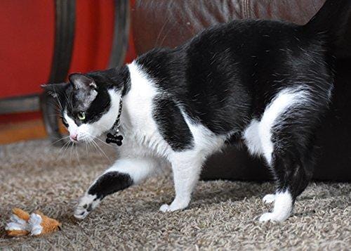 OurPets Play-N-Squeak Backyard Collection Squeaking Interactive Catnip Cat Toy