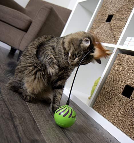 SmartyKat Feather Whirl Electronic Motion Cat Toy, As Seen On TV