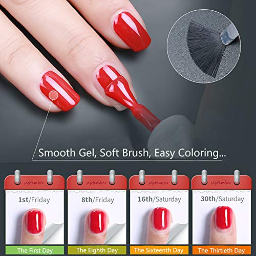 Homost 3D Cat Eye Gel Nail Polish Set, 6 Colors UV LED Gel Nail Polish Kit, Starter Gel Nail Manicure DIY Kit