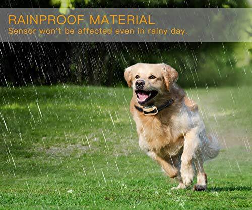 [NEW 2019] Humane Bark collar-Dog bark Collar-Anti Barking Collar Small Dogs Medium Large Dogs-Rechargeable Waterproof Anti bark Collar-No bark Collars Sound Warning Vibration Electric Stimulation