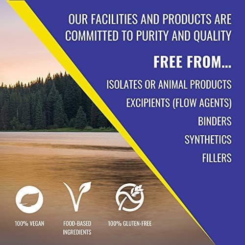 HealthForce SuperFoods Vitamineral Green Powder - 300 Grams - All Natural Green Superfood Complex with Vitamins, Minerals, Amino Acids & Protein - Vegan, Gluten Free - 30 Servings