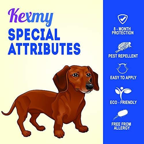 KEXMY Flea and Tick Collar for Dogs-Flea and Tick Prevention for Small, Medium or Large Dog - Waterproof Collar Flea Tick 2019