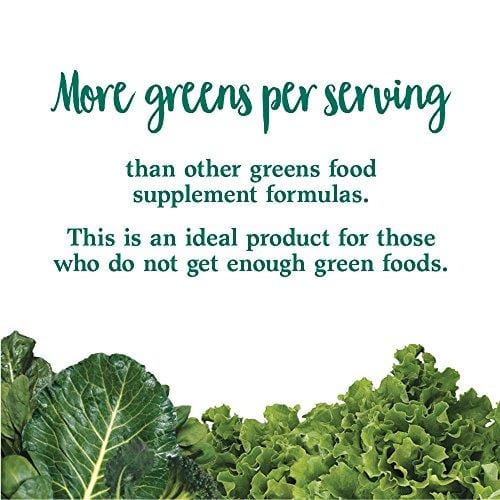 Garden of Life Whole Food Vegetable Supplement - Perfect Food Green Superfood Dietary Powder, 140g