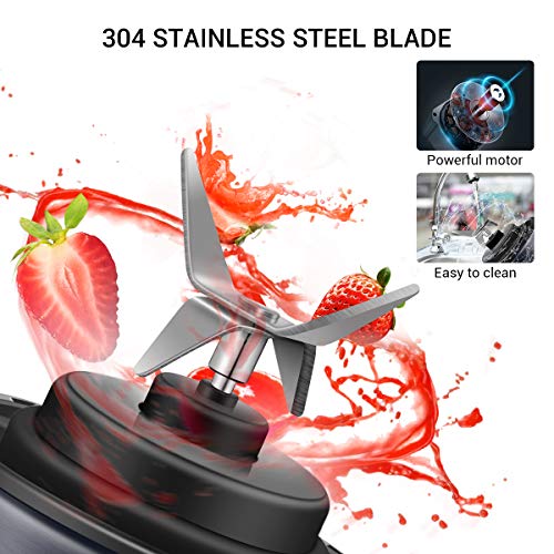 REDMOND Portable Blender, Personal USB Rechargeable Blender, Mini Juicer to make Shake and Smoothie, Single Serve Stainless Steel Juicer Cup Fruit Mixer, 16oz Large Capacity Travel Outdoor and Home Use, BL014