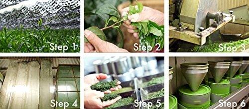 Matcha Green Tea Powder - Superior Culinary - USDA Organic From Japan -Natural Energy & Focus Booster Packed With Antioxidants. (Starter Bag - 30g (1.05oz))