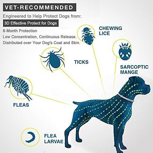 Fedciory Flea and Tick Prevention Collar for Dogs Up to 8 Months Protection Hypoallergenic and Waterproof Flea & Tick Control Adjustable Size Fits All Large Medium and Small Dog