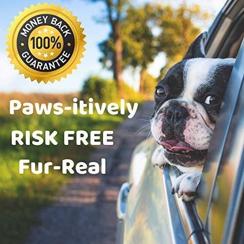 Hemp Oil for Dogs and Cats - 100 % Organic Natural Calming Drops - Anxiety Support - Hip and Joint Health - Pain Relief Stress Reducer for Pets - Omega 3 & 6