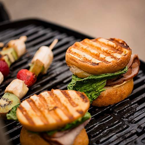 Weber 51080001 Q1200 Liquid Propane Grill, Blue