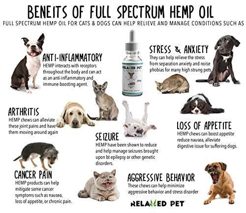 Relaxed Pet Full Spectrum Hemp Oil 250mg for Dog & Cat Calming - HempWorks for Joint Pain Relief, Stress and Seperation Anxiety for Dogs + Omega 3 & 6 for Skin & Fur. The Safest mg. for Pets