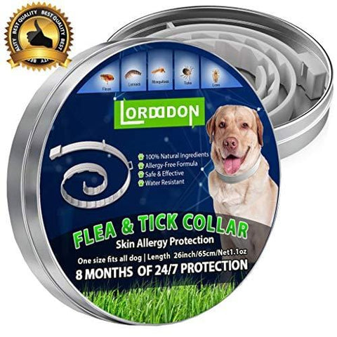 Flea and Tick Prevention Collar One Size Fits All Dogs and Cats Flea and Tick Control with Adjustable Design