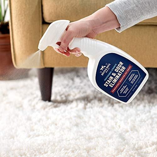 Rocco & Roxie Supply Professional Strength Stain and Odor Eliminator, Enzyme-Powered Pet Odor and Stain Remover for Dogs and Cat Urine, Spot Carpet Cleaner for Small Animal, 32 oz.