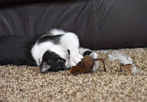 OurPets Play-N-Squeak Twice the Mice Cat Toy, 2pc