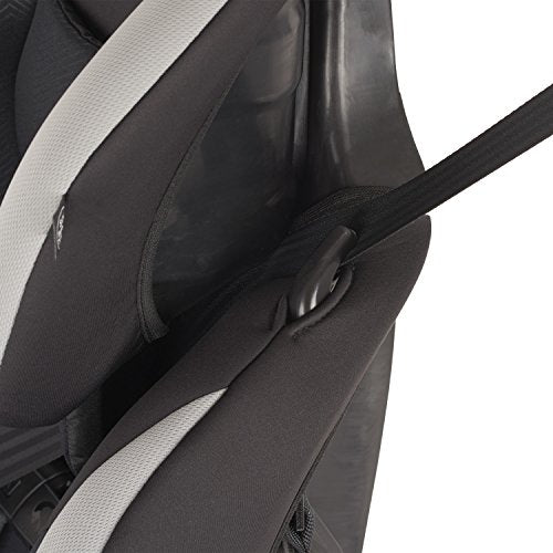 Evenflo Maestro Sport Harness Booster Car Seat, Granite