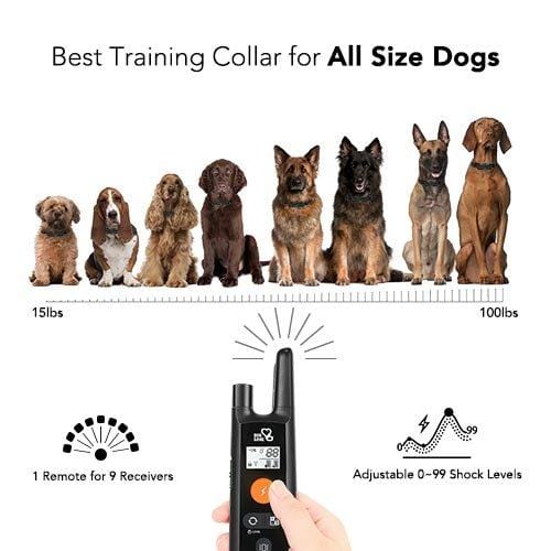 Dog Training Collar - Rechargeable Dog Shock Collar w/3 Training Modes, Beep, Vibration and Shock, 100% Waterproof Training Collar, Up to 1000Ft Remote Range, 0~99 Shock Levels Dog Training Set