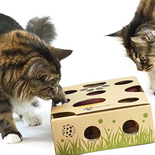 Cat Amazing - Best Cat Toy Ever! Interactive Treat Maze & Puzzle Feeder for Cats