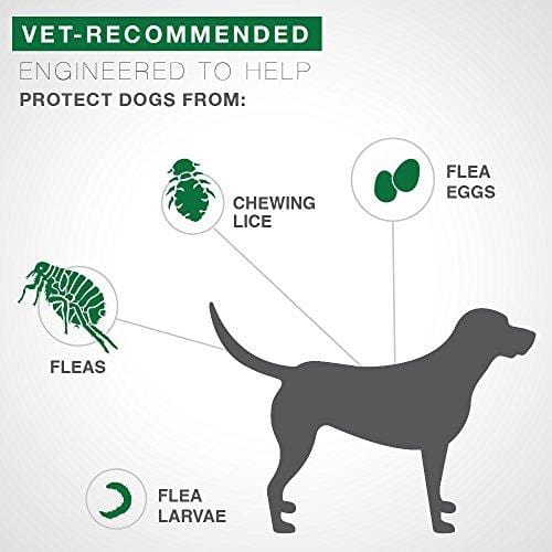 Bayer Advantage II Topical Flea Treatment Dogs