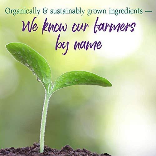 Garden of Life Raw Organic Perfect Food Alkalizer & Detoxifier Juiced Greens Superfood Powder - Lemon Ginger, 30 Servings (Packaging May Vary) - Non-GMO, Gluten Free Whole Food Dietary Supplement