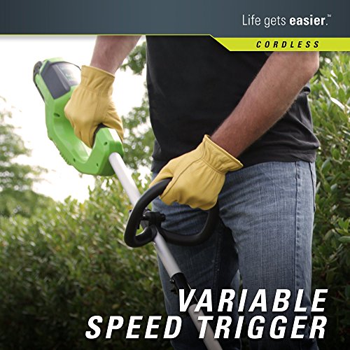 Greenworks 12-Inch 40V Cordless String Trimmer, 2.0Ah Battery and Charger Included 2101602