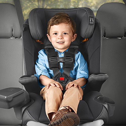 Chicco MyFit LE Harness + Booster Car Seat, Anthem