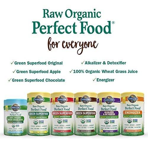 Garden of Life Raw Organic Perfect Food Green Superfood Juiced Greens Powder - Chocolate, 60 Servings - Non-GMO, Gluten Free, Vegan Whole Food Dietary Supplement, Plus Probiotics & Enzymes