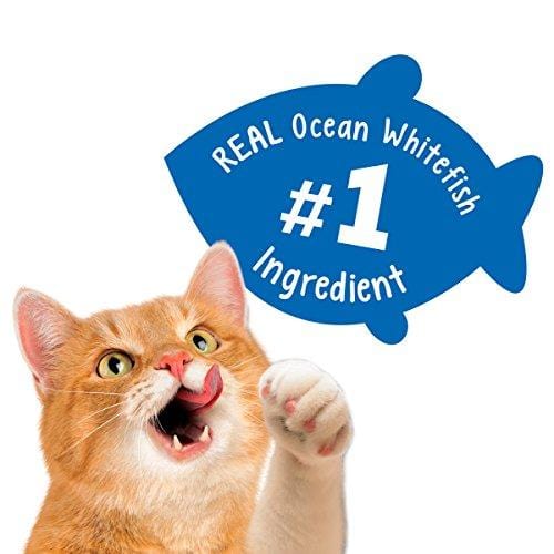 Purina Friskies Made in USA Facilities Cat Treats; Party Mix Beachside Crunch - 20 oz. Canister